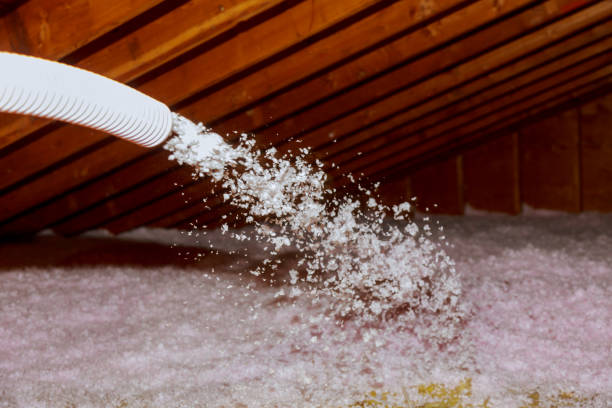  Big Rock, IL Insulation Contractor Pros
