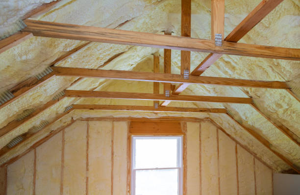 Professional Insulation Contractor in Big Rock, IL