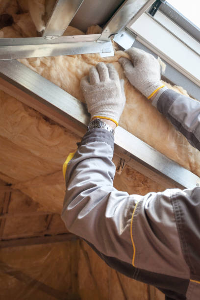 Best Eco-Friendly Insulation in Big Rock, IL