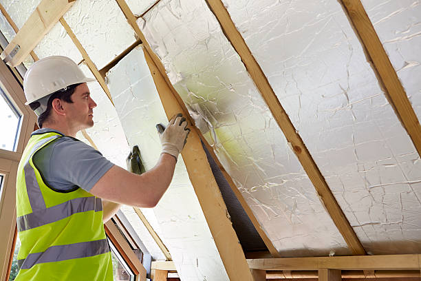 Best Geographic-Specific Insulation Services in Big Rock, IL